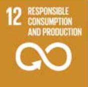 12 - Responsible Consumption and Production