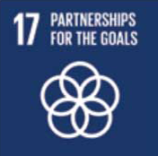 17 - Partnerships for the Goals