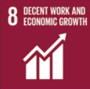 8 - Decent Work and Economic Growth